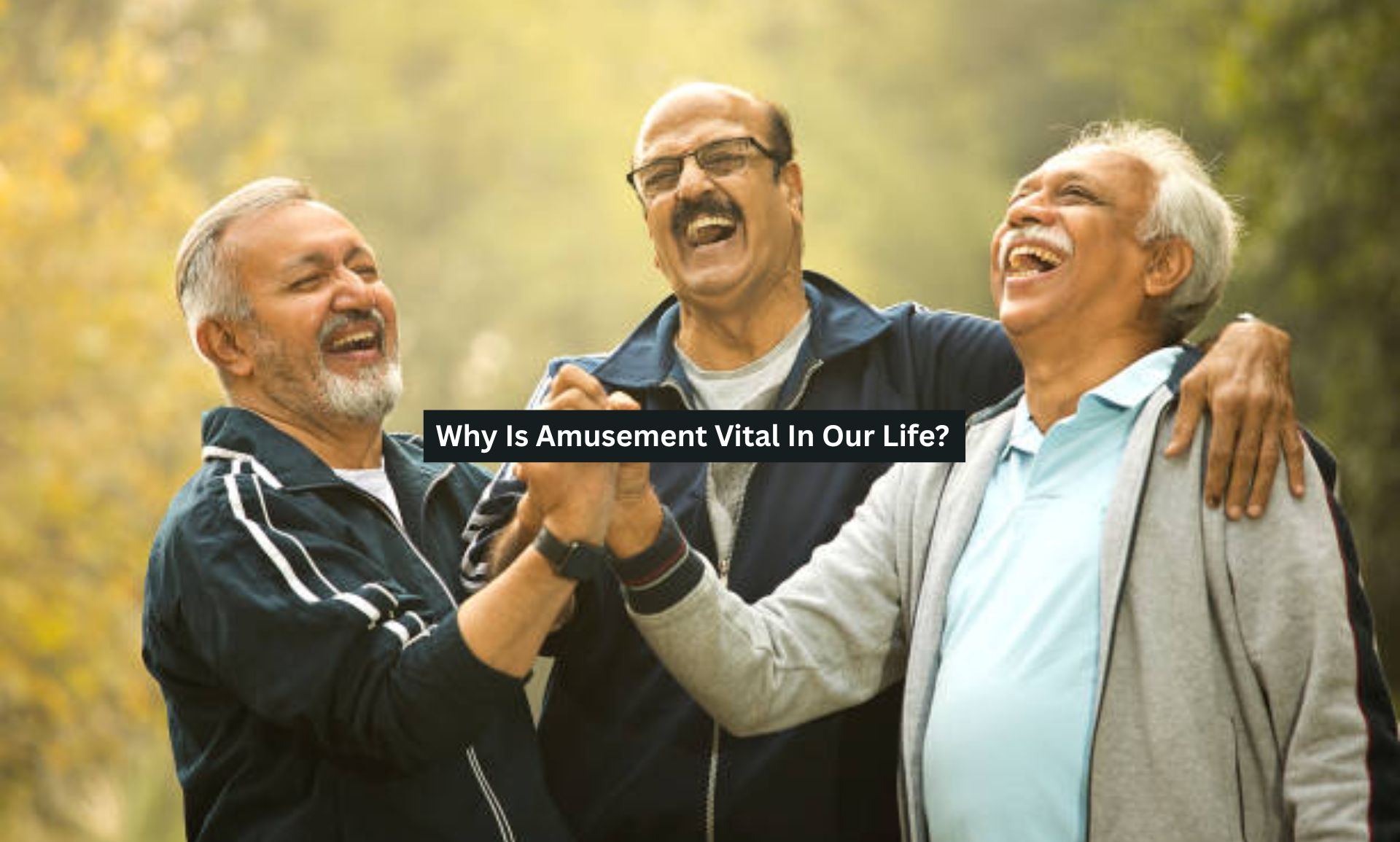 Why Is Amusement Vital In Our Life?